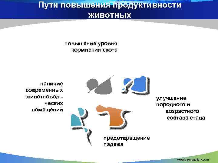 Пути повышения продуктивности животных повышение уровня кормления скота наличие современных животновод ческих помещений улучшение