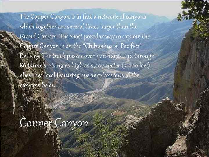 The Copper Canyon is in fact a network of canyons which together are several