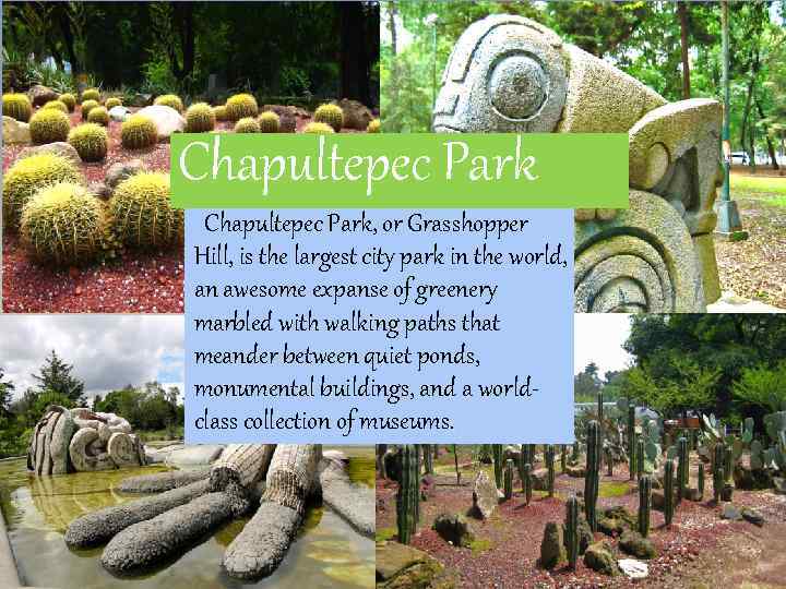 Chapultepec Park Chapultepec Park, or Grasshopper Hill, is the largest city park in the