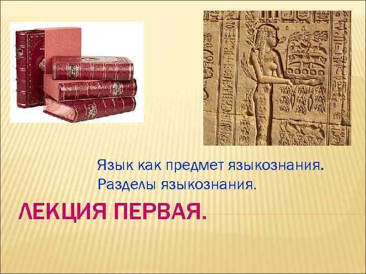 Язык как предмет языкознания. Разделы языкознания. ЛЕКЦИЯ ПЕРВАЯ. 