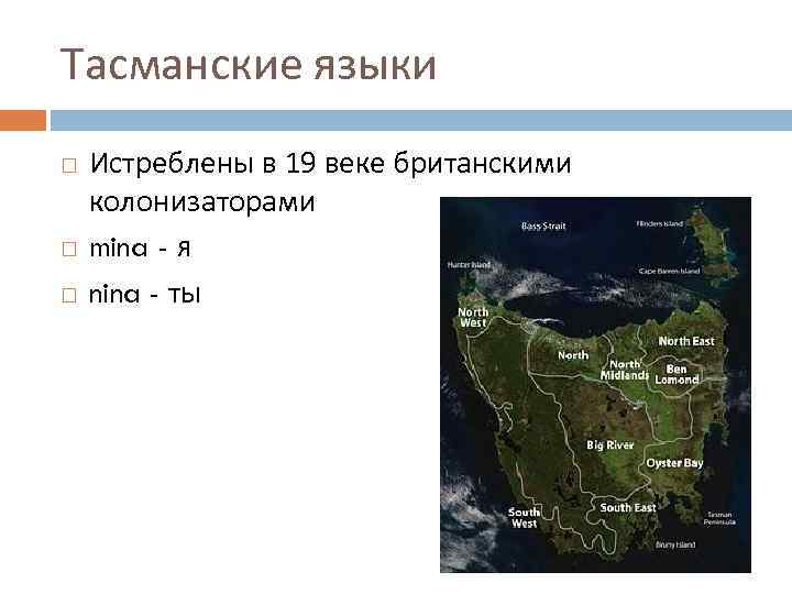Тасманские языки Истреблены в 19 веке британскими колонизаторами mina - я nina - ты