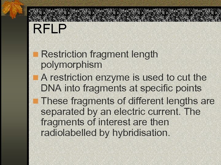 RFLP n Restriction fragment length polymorphism n A restriction enzyme is used to cut