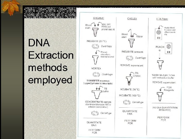 DNA Extraction methods employed 