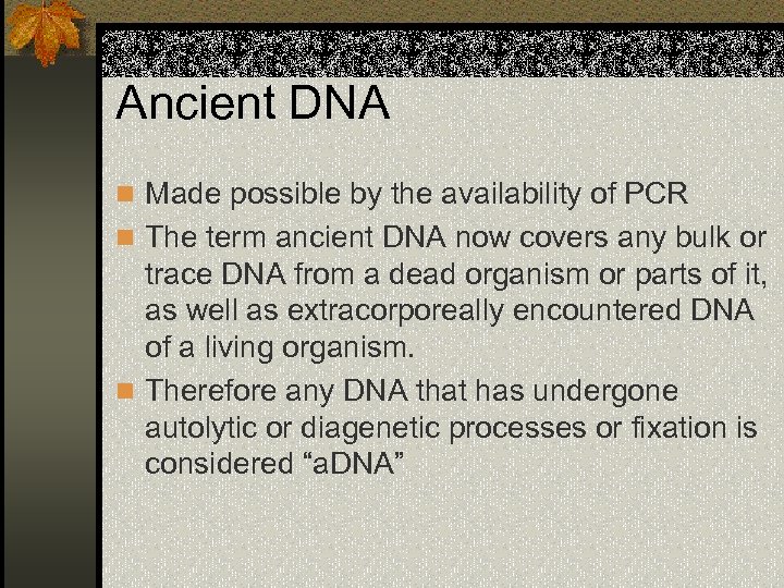 Ancient DNA n Made possible by the availability of PCR n The term ancient