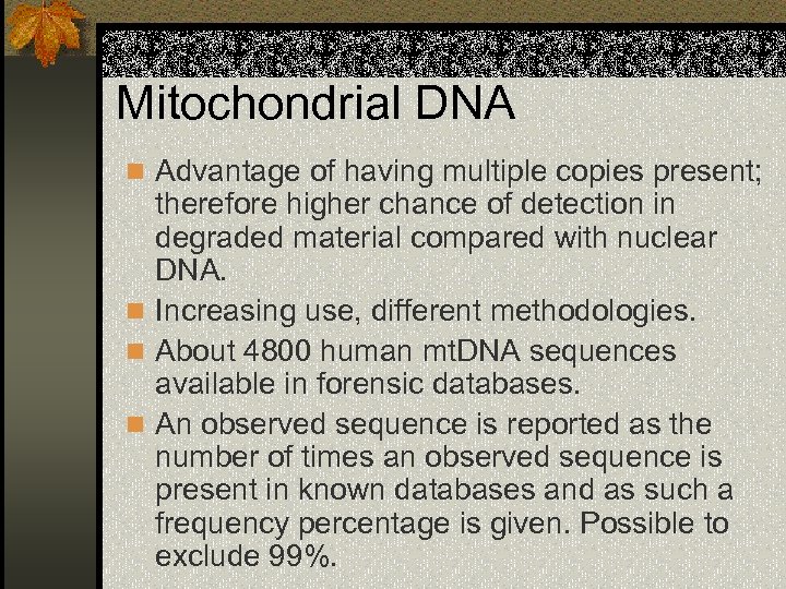 Mitochondrial DNA n Advantage of having multiple copies present; therefore higher chance of detection