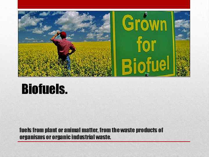 Biofuels from plant or animal matter, from the waste products of organisms or organic