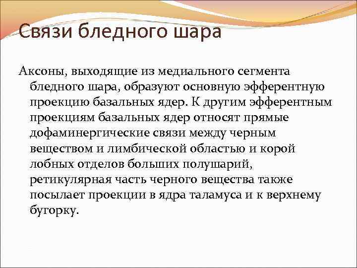 Связи бледного шара Аксоны, выходящие из медиального сегмента бледного шара, образуют основную эфферентную проекцию