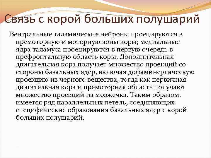 Связь с корой больших полушарий Вентральные таламические нейроны проецируются в премоторную и моторную зоны