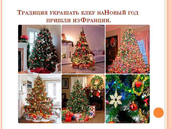 ТРАДИЦИЯ УКРАШАТЬ ЕЛКУ НАНОВЫЙ ГОД ПРИШЛИ ИЗ ФРАНЦИИ. 