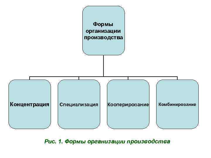 5 формы организации производства