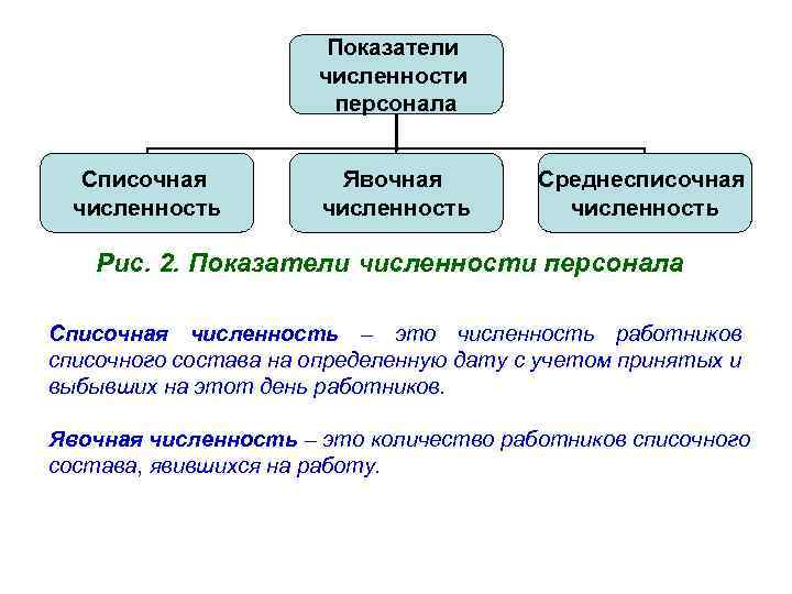 Показатели численности