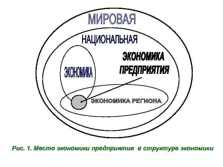 Рис. 1. Место экономики предприятия в структуре экономики 