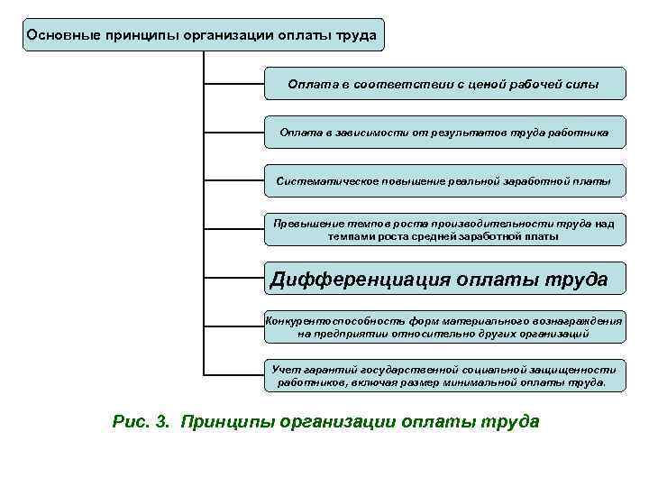 Система принципов организации оплаты труда