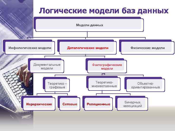 Логические модели баз данных Модели данных Инфологические модели Даталогические модели Документальные модели Фактографические модели
