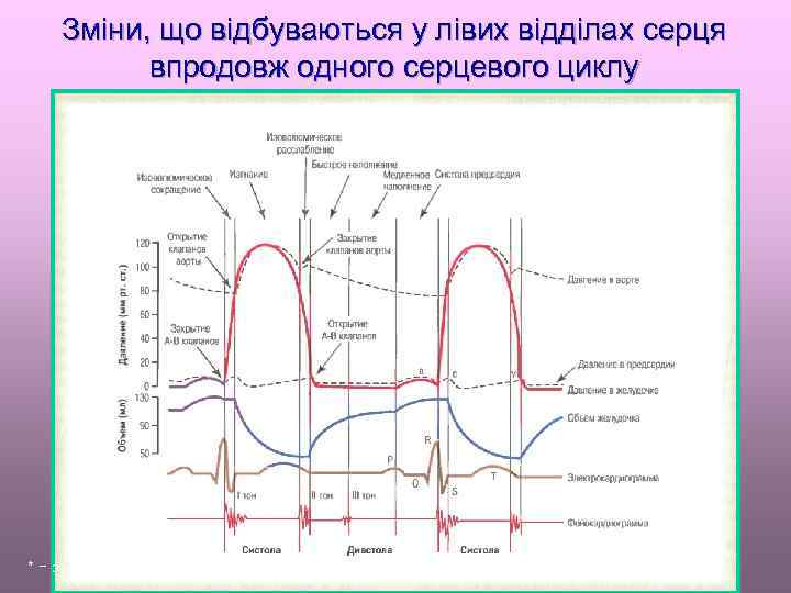 Зміни, що відбуваються у лівих відділах серця впродовж одного серцевого циклу * − за