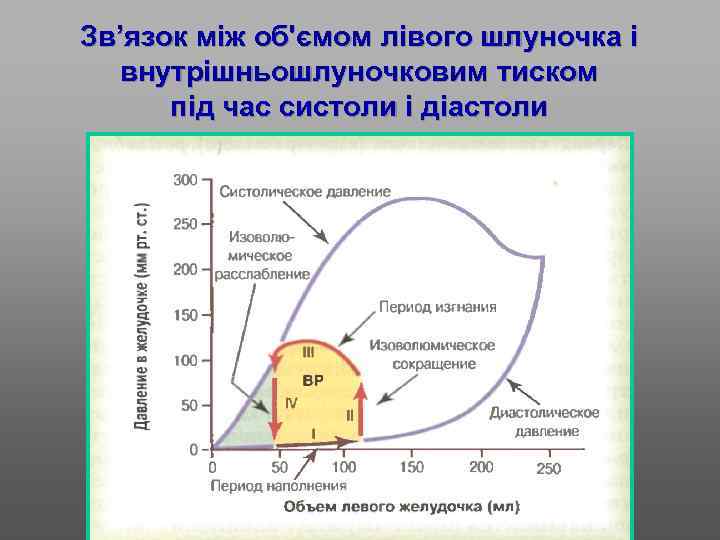 Зв’язок між об'ємом лівого шлуночка і внутрішньошлуночковим тиском під час систоли і діастоли 