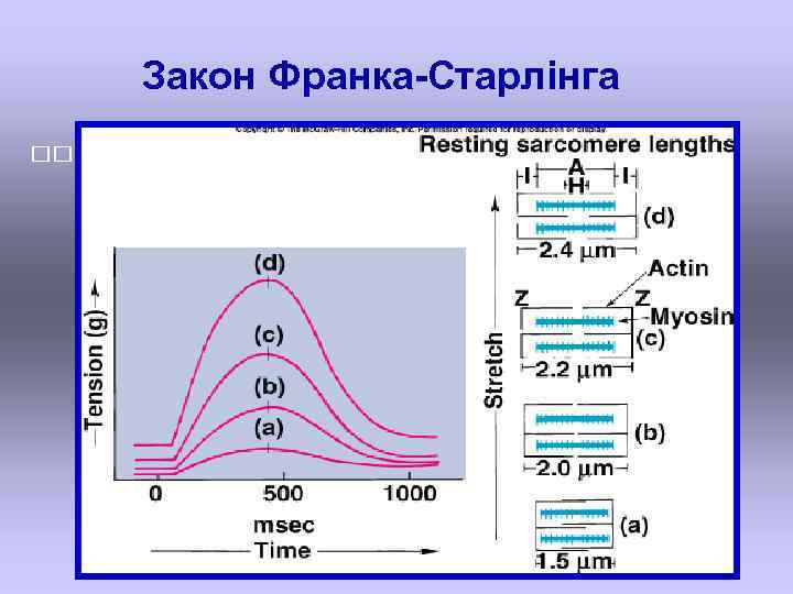 Закон Франка-Старлінга 