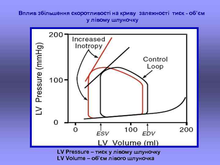 Вплив збільшення скоротливості на криву залежності тиск - об’єм у лівому шлуночку LV Pressure