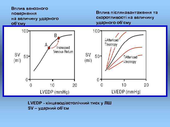 Вплив венозного повернення на величину ударного об’єму Вплив післянавантаження та скоротливості на величину ударного