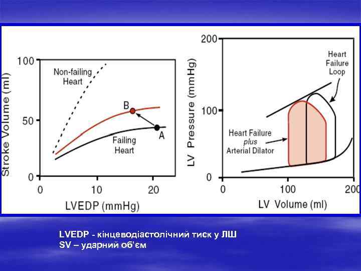 LVEDP - кінцеводіастолічний тиск у ЛШ SV – ударний об’єм 