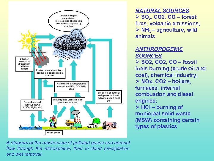 NATURAL SOURCES Ø SO 2, CO – forest fires, volcanic emissions; Ø NH 3