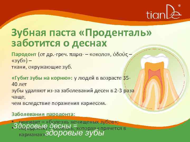 Зубная паста «Проденталь» заботится о деснах Пародонт (от др. -греч. παρα- – «около» ,