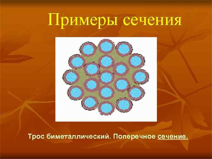 Примеры сечения Трос биметаллический. Поперечное сечение. 