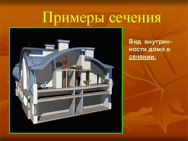 Примеры сечения Вид внутринности дома в сечении. 