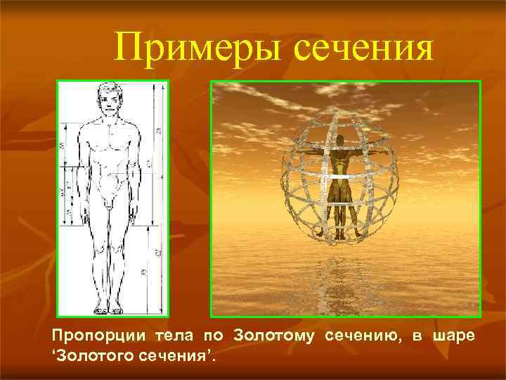Примеры сечения Пропорции тела по Золотому сечению, в шаре ‘Золотого сечения’. 