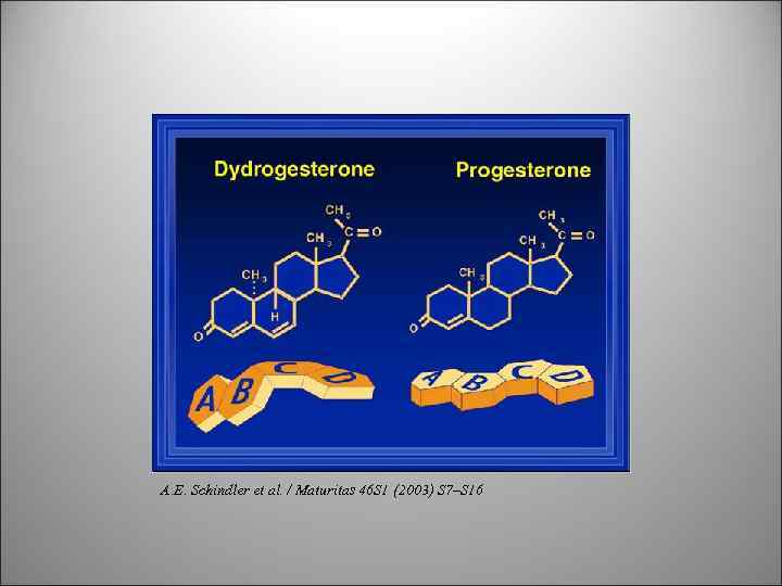 A. E. Schindler et al. / Maturitas 46 S 1 (2003) S 7–S 16