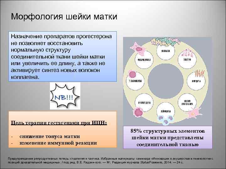 Морфология шейки матки Назначение препаратов прогестерона не позволяет восстановить нормальную структуру соединительной ткани шейки