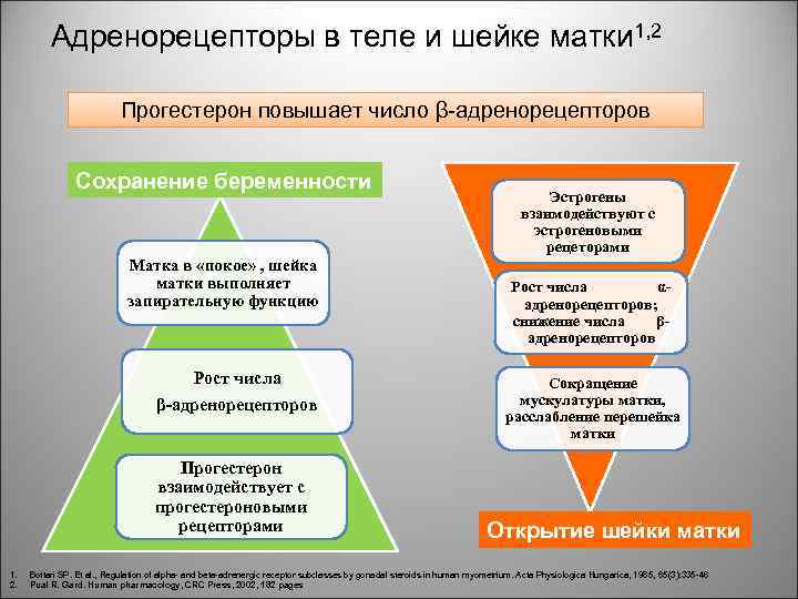 Адренорецепторы в теле и шейке матки 1, 2 Прогестерон повышает число β-адренорецепторов Сохранение беременности