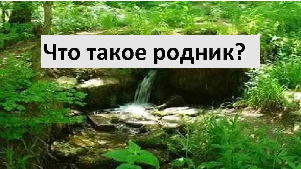 Что такое родник? 