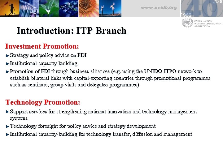 www. unido. org Introduction: ITP Branch Investment Promotion: Strategy and policy advice on FDI