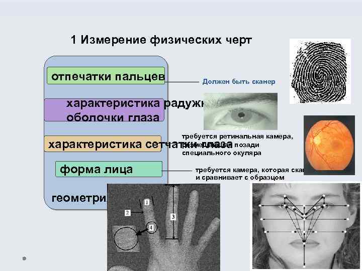 1 Измерение физических черт отпечатки пальцев Должен быть сканер характеристика радужной оболочки глаза требуется