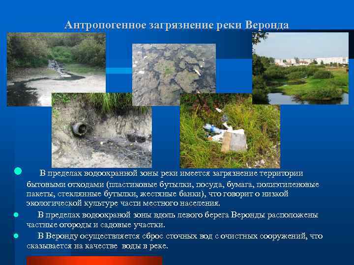 Антропогенное загрязнение реки Веронда l В пределах водоохранной зоны реки имеется загрязнение территории бытовыми