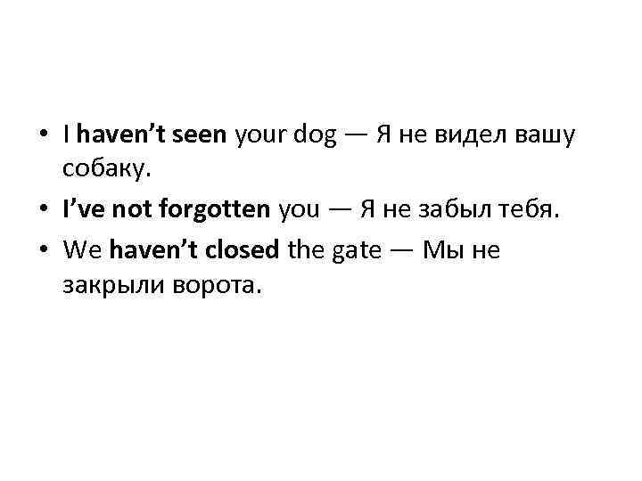  • I haven’t seen your dog — Я не видел вашу собаку. •