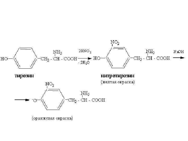 Белки с азотной кислотой. Ксантопротеиновая реакция белков формула. Ксантопротеиновая реакция белка формула. Ксантопротеиновая реакция на тирозин. Ксантопротеиновая реакция фенилаланина.