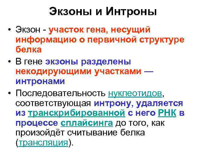 Экзоны и Интроны • Экзон - участок гена, несущий информацию о первичной структуре белка