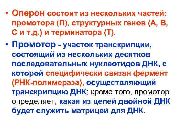  • Оперон состоит из нескольких частей: промотора (П), структурных генов (А, В, С