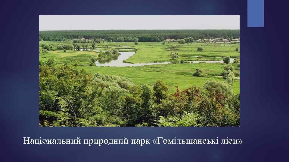 Національний природний парк «Гомільшанські ліси» 