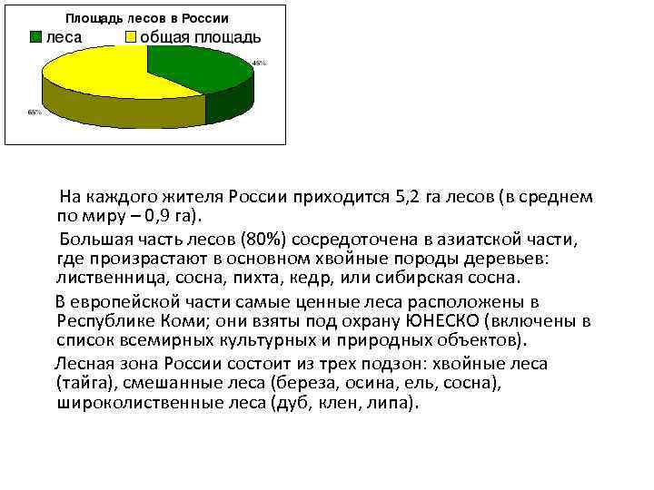 Какая площадь леса