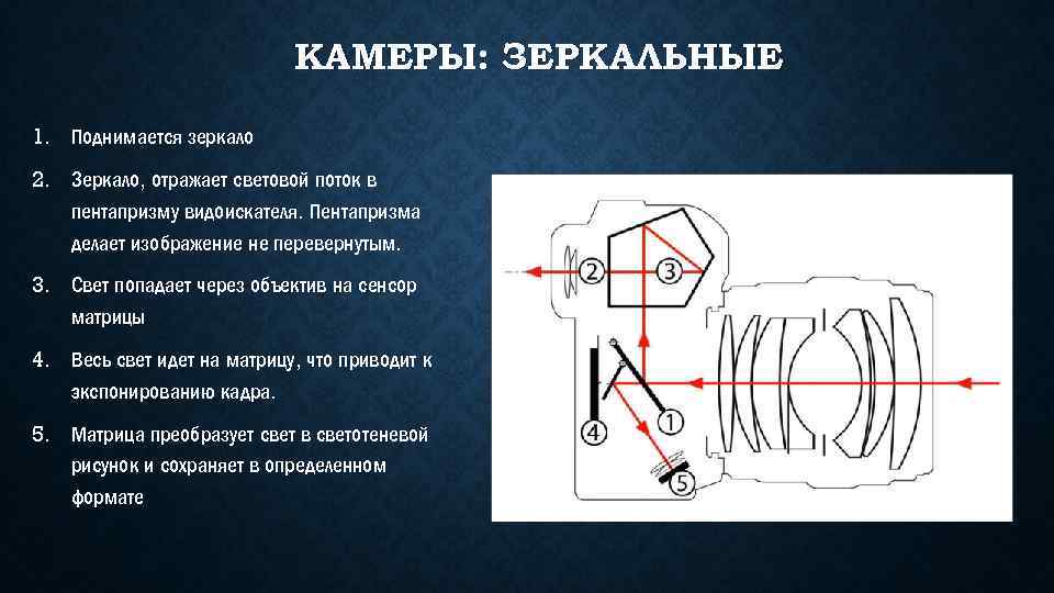 КАМЕРЫ: ЗЕРКАЛЬНЫЕ 1. Поднимается зеркало 2. Зеркало, отражает световой поток в пентапризму видоискателя. Пентапризма