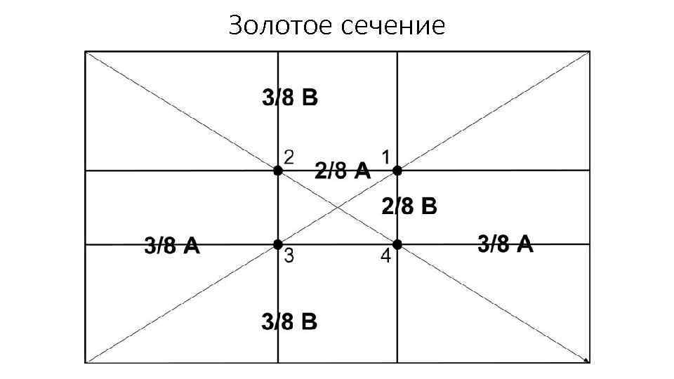 Золотое сечение 