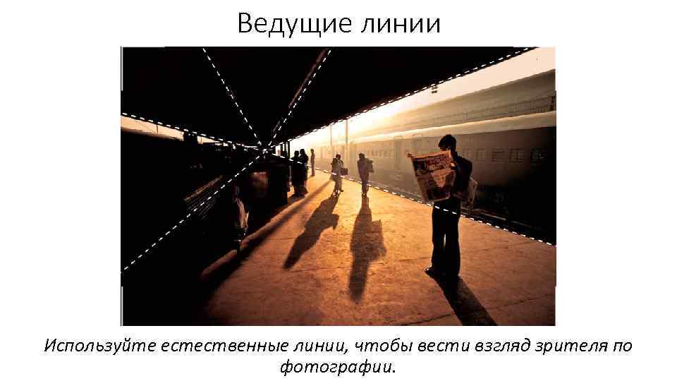 Ведущие линии Используйте естественные линии, чтобы вести взгляд зрителя по фотографии. 