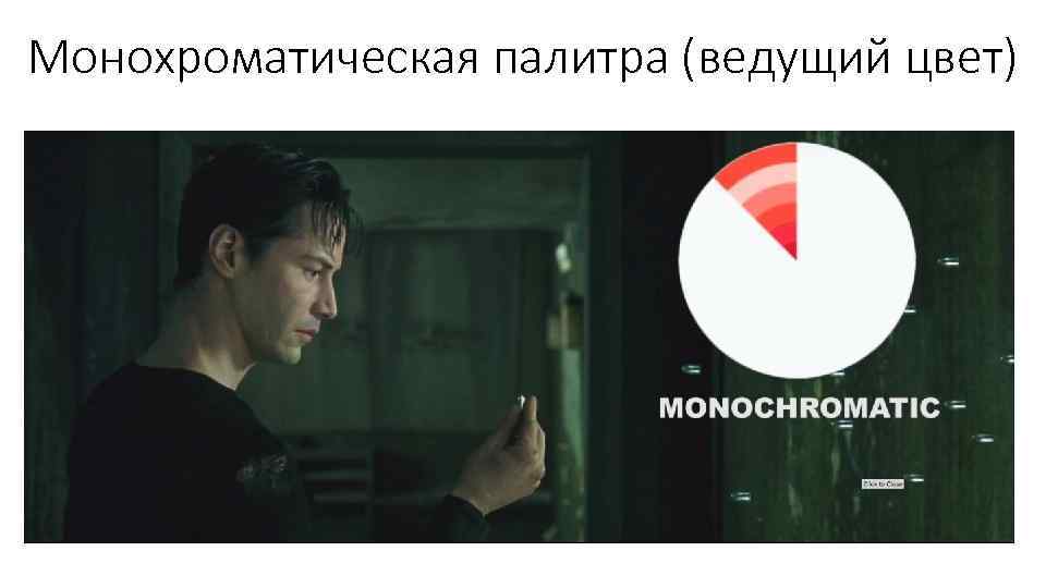 Монохроматическая палитра (ведущий цвет) 