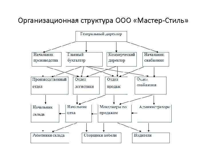 Организационная структура ООО «Мастер Стиль» 