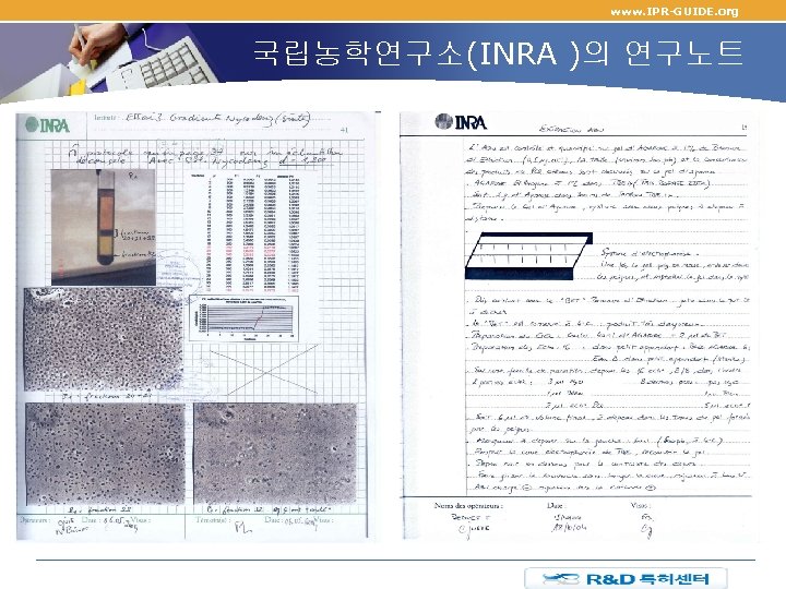 www. IPR-GUIDE. org 국립농학연구소(INRA )의 연구노트 