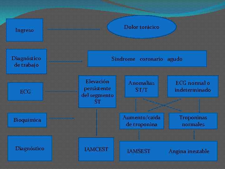 Dolor torácico Ingreso Diagnóstico de trabajo ECG Síndrome coronario agudo Elevación persistente del segmento