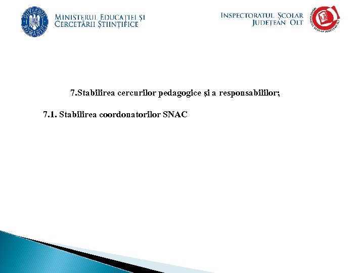  7. Stabilirea cercurilor pedagogice şi a responsabililor; 7. 1. Stabilirea coordonatorilor SNAC 